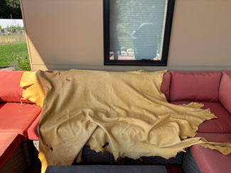 Elk Hide